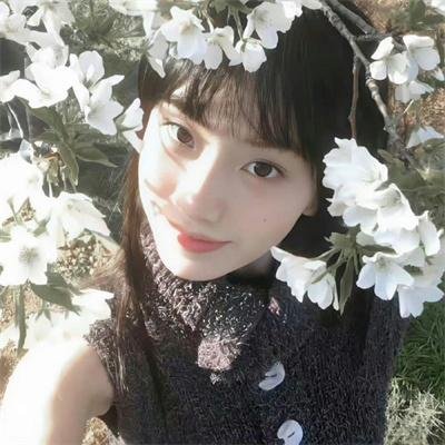 艾洛思的顶级生活
